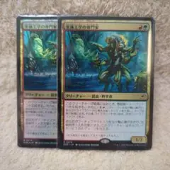 MTG 生体工学の専門家(2枚) 日本語