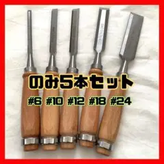 のみ　5本セット 彫刻 ノミ 鑿 DIY 木彫り 刃物 平刃 木工 彫刻刀