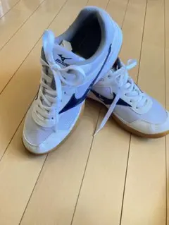 ミズノ 体育館シューズ 26.0cm