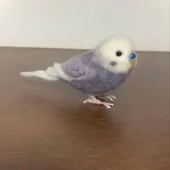 羊毛フェルト　セキセイインコ　ライラック　ぬいぐるみ