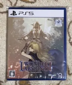 【新品未開封】ロードス島戦記ディードリット・イン・ワンダーラビリンス