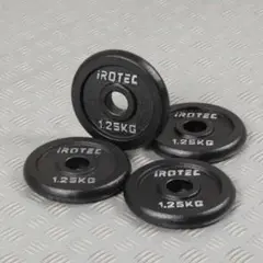 IROTEC アイアンプレート 1.25kg 4枚セット