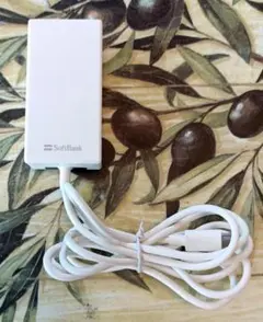 SoftBank USB充電器 SB-AC20-TCPD
