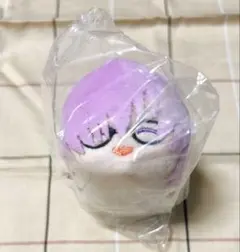 【新品未使用】fgo えふご　マシュ常夏の水着　もちマス