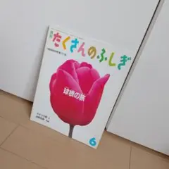 月刊たくさんのふしぎ　球根の旅