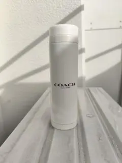 Item thumbnail for item b2083ffe-5eb7-4e7c-b8dd-b989258d07f8