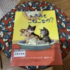 きみもこねこなの？ エズラ・ジャック・キーツ 絵本