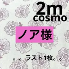 【特価】最終出品★ラスト1枚★cosmo★オックス★花柄　生成り★