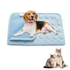 Item thumbnail for item ae7333bc-f9c6-4a31-b961-a40233242c71