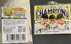 Item thumbnail for item 2bb0c33e-8041-4725-86dc-9f09c33a5922