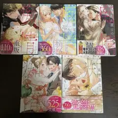 ★黒弁護士の恋情★完結5巻セット★