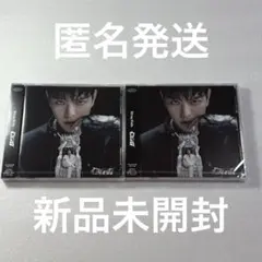 Stray Kids スンミン GIANT CD トレカ FC盤 新品未開封 ④
