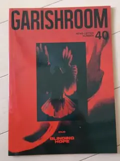 the GazettE ガゼット FC会報 GARISH ROOM 40