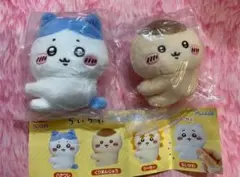 Item thumbnail for item c397230b-6bab-4077-9f27-27d710816cca