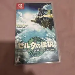 ゼルダの伝説 ティアーズ オブ ザ キングダム