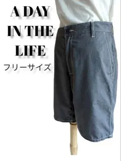 A DAY IN THE LIFE ハーフパンツ フリーサイズ グレー 万能