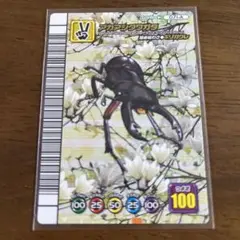 2025年最新】アカアシクワガタ アダーの人気アイテム - メルカリ