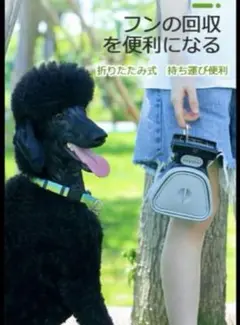 Item thumbnail for item 856d701f-7025-4871-95bb-990589c5df05