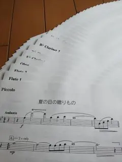 楽譜　夏の日の贈りもの　教育芸術社　吹奏楽　合唱　シリーズ　パート譜　セット