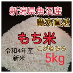 新米 もち米 5キロ 令和4年産 魚沼産 こがねもち 1107-2