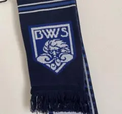 Item thumbnail for item 4adf331a-aa76-4b2d-bf58-538564573ee9