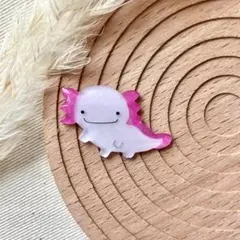 【残り１つ】ウーパールーパーのブローチ