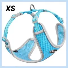 Item thumbnail for item 6c3a82de-2741-4c4e-b756-7d8d02727a24