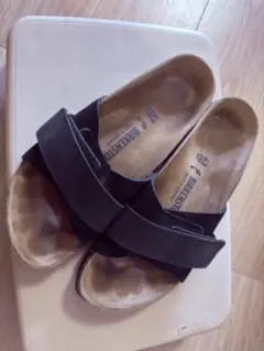 Item thumbnail for item 6cfa3219-0dec-4ebe-be40-0ce9cf1a2b64