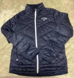 Item thumbnail for item d2d73439-56bf-479a-addc-02b49599e6bc