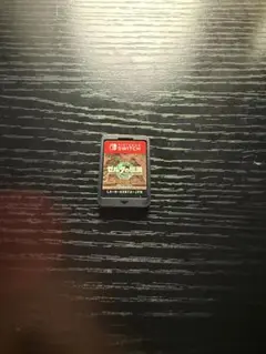 ゼルダの伝説 ティアキン　ソフト