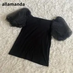 a189新品　アラマンダ　パフスリーブ　半袖カットソー　シースルー袖 黒