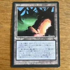 隠れ家/Safe Haven