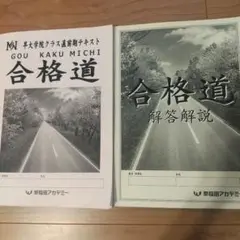 2025年最新】早稲田アカデミーNN早大学院の人気アイテム - メルカリ