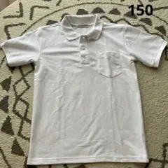 CLOSSHII ホワイト ポロシャツ　150