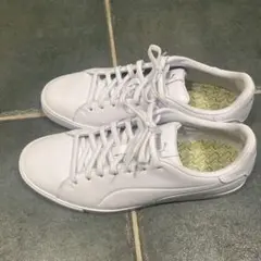 puma ゴルフシューズ　25.5