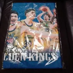 Item thumbnail for item 2b35f5bf-0f7a-48c1-80d4-3379ff93fe36