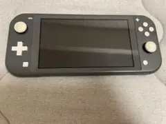 Switchライト グレー ソフト付き 動作確認済み