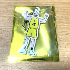 Item thumbnail for item 866196cc-f106-4aff-86ff-253637dad636