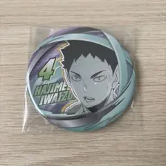 ファンパーク ハイキュー!! コレクション缶バッジ FUN!! 岩泉一