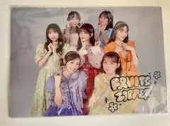 【美品未使用】FRUITSZIPPER 集合 クリアファイル　フルーツバスケット