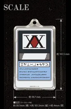 ハンターライセンス　PIICA