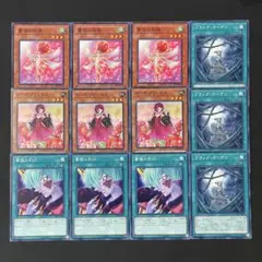 遊戯王　薔薇の刻印　ブラック・ガーデン　ローズ・プリンセス　薔薇の妖精　各3枚