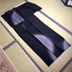 【未使用・極美品】訪問着　紗　盛夏　夏用　正絹　ぼかし紋様　グラデーション　黒地