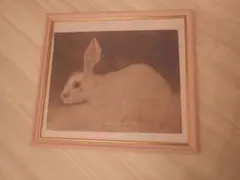 うさぎ ポスター フレーム入り