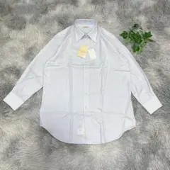 Item thumbnail for item 75d96f46-1440-4ad6-92ca-d0d55d8a0f35