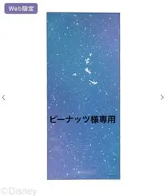 2025年最新】sukala ラグ ピーターパンの人気アイテム - メルカリ