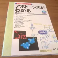 アポトーシスがわかる