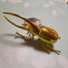 【新品】生物図鑑　キッズシリーズ　リアルカブトクワガタ8