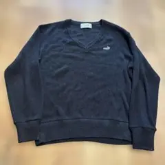 クロコダイル　Vネックニットセーター　SIZE L