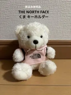 2025年最新】THE NORTH FACE ぬいぐるみの人気アイテム - メルカリ